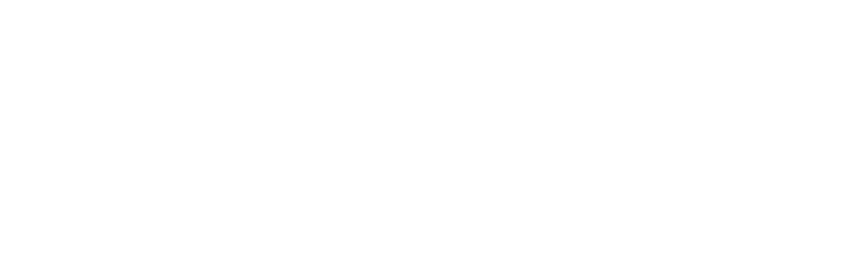 Cameron_Pin_Flag_Logo