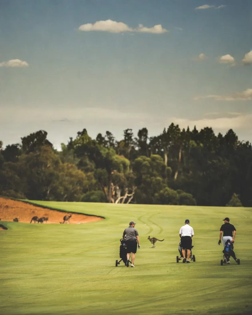 scenic-golf-4